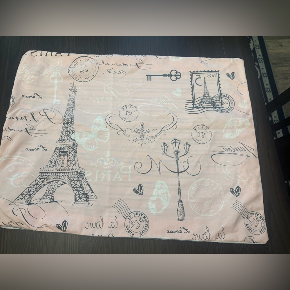 Paris themed pillow case